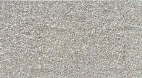 WhatsApp Image 2026-03-11 at 13.01.51