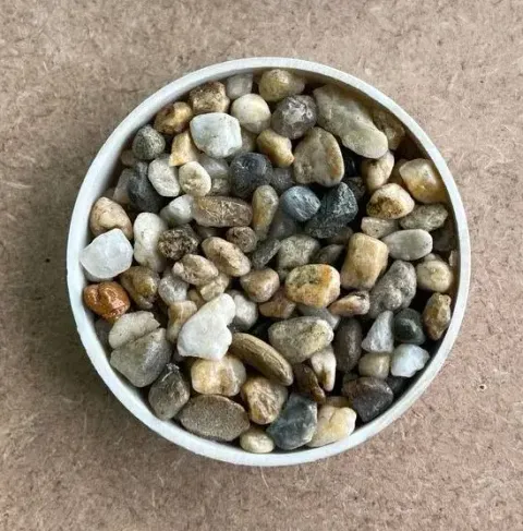 WhatsApp Image 2024-12-31 at 14_qy0j5fqzzs3z216ftmfo