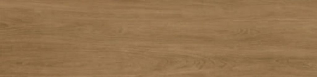 WhatsApp Image 2026-03-26 at 10.03.56