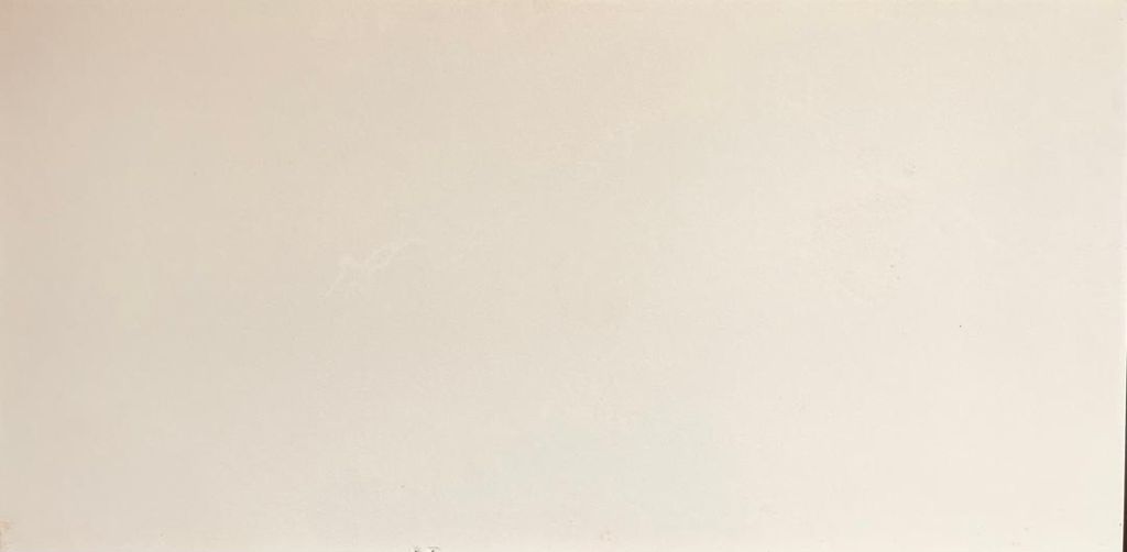 WhatsApp Image 2026-03-27 at 11.05.39