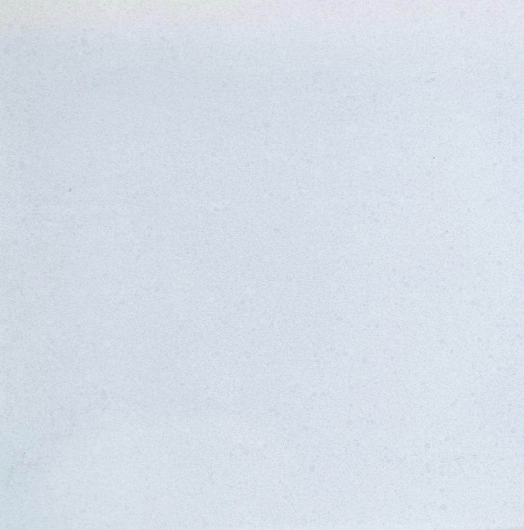 WhatsApp Image 2026-04-08 at 14.05.56