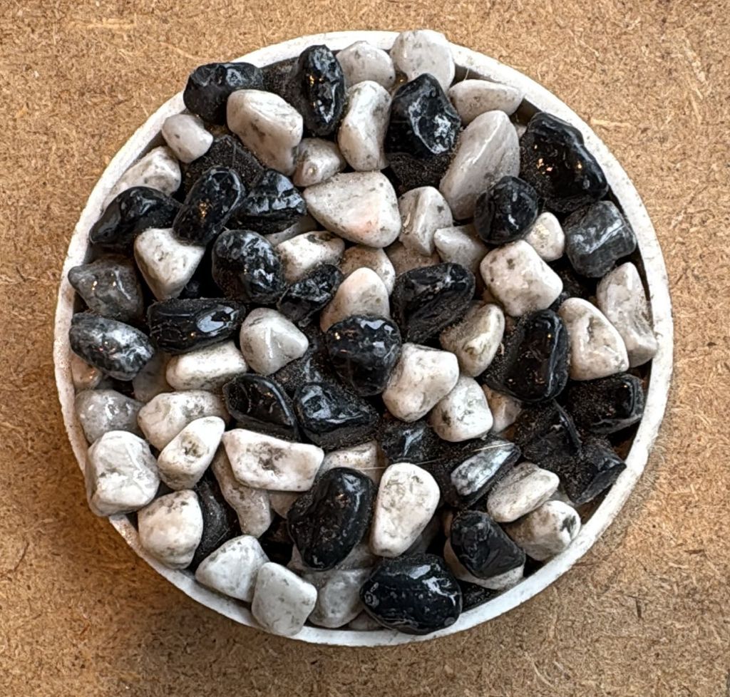 WhatsApp Image 2026-04-21 at 16.47.40