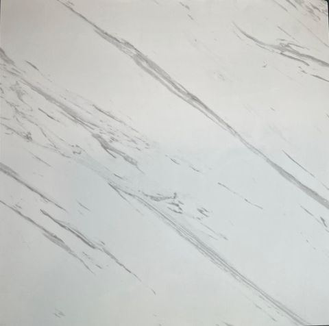 WhatsApp Image 2026-04-30 at 12.11.18