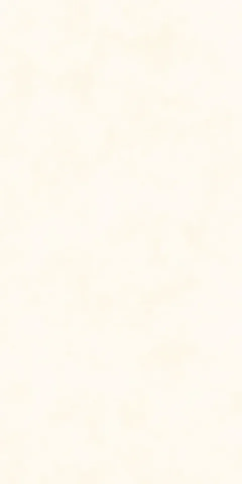 titan-white-30x60-1