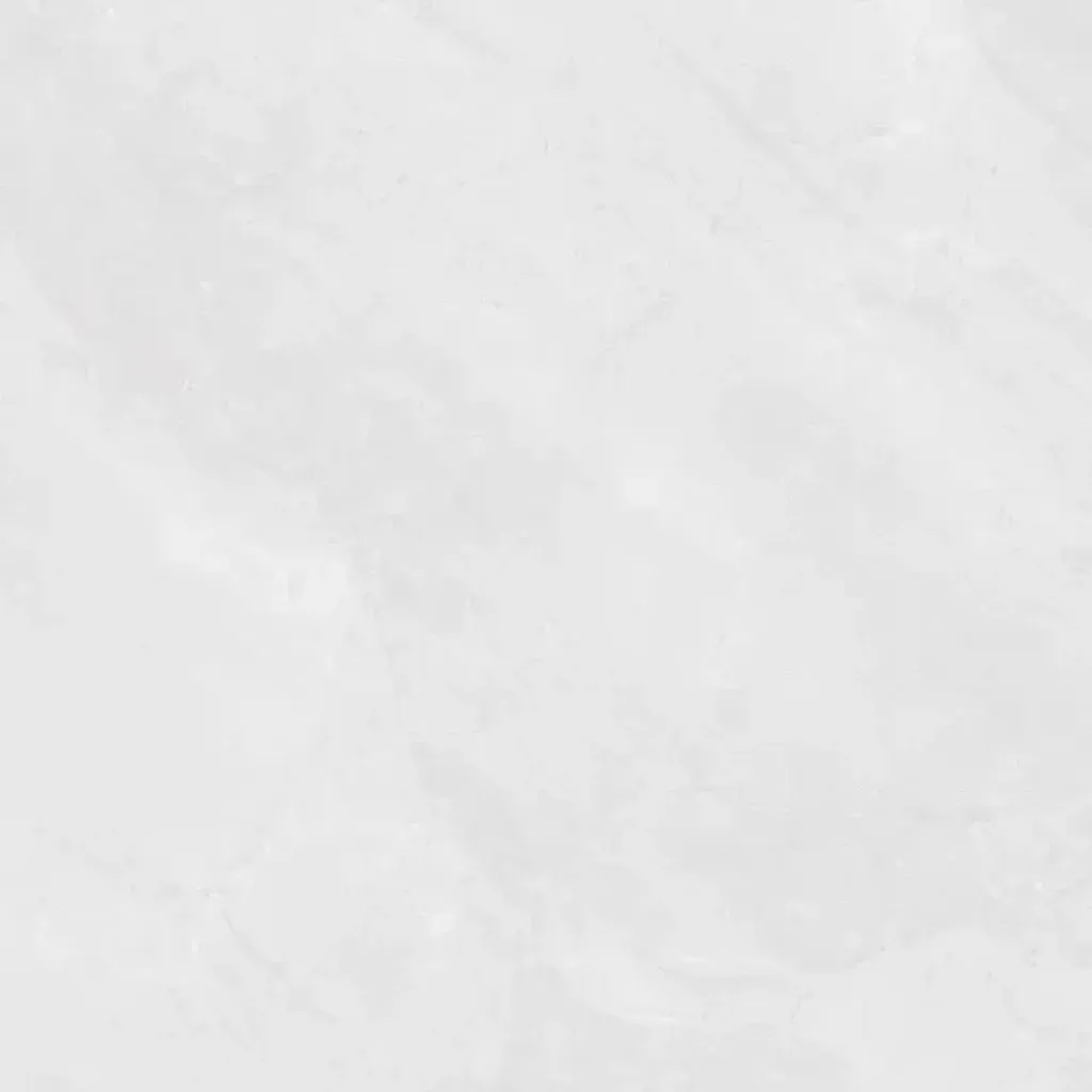 ardesia-bone-60x60-1