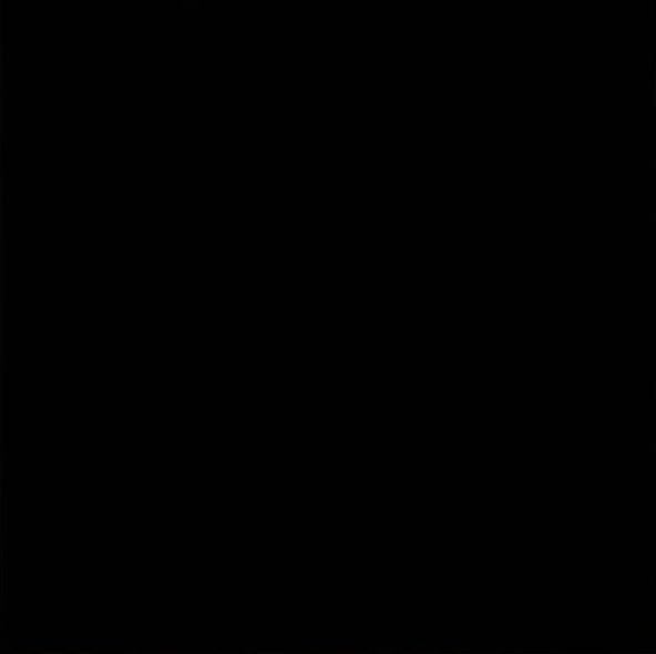 WhatsApp Image 2026-05-26 at 11.41.25