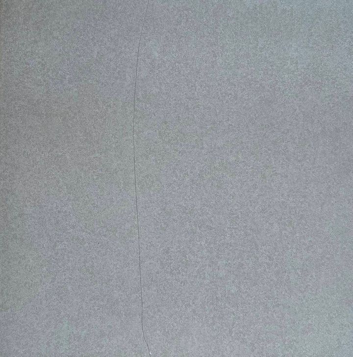 WhatsApp Image 2026-06-11 at 11.57.45