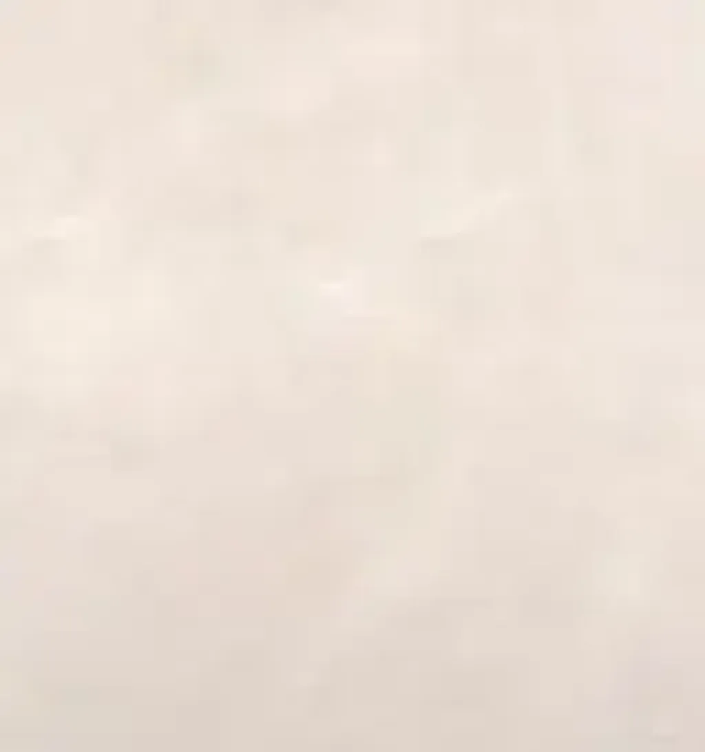 104689602.png