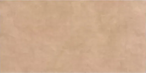 100687286.png