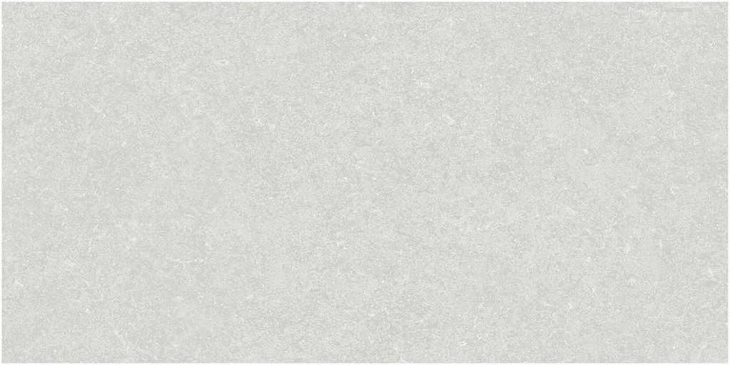 SS-NOW4NR-Grey-Master-Face