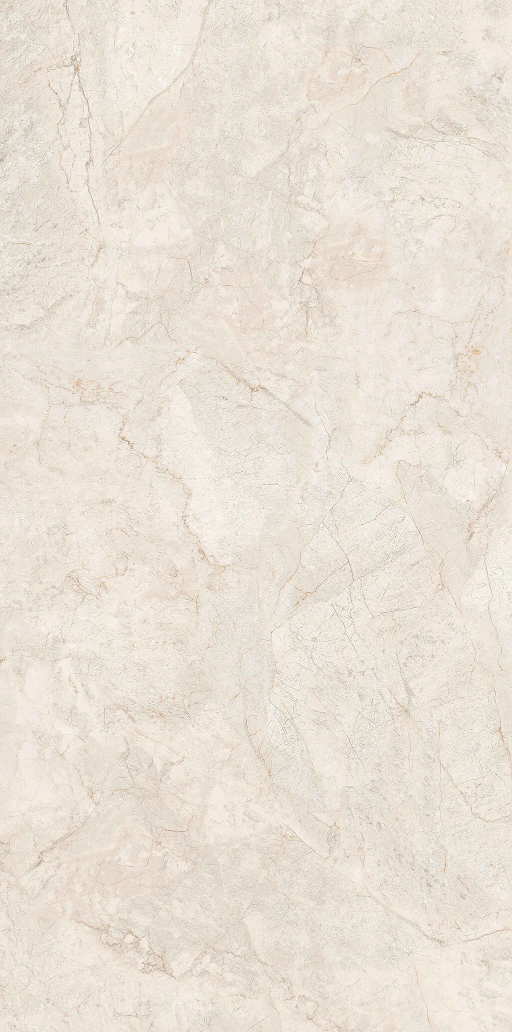 SX-CTN2PR_SR-Beige-Master-Face