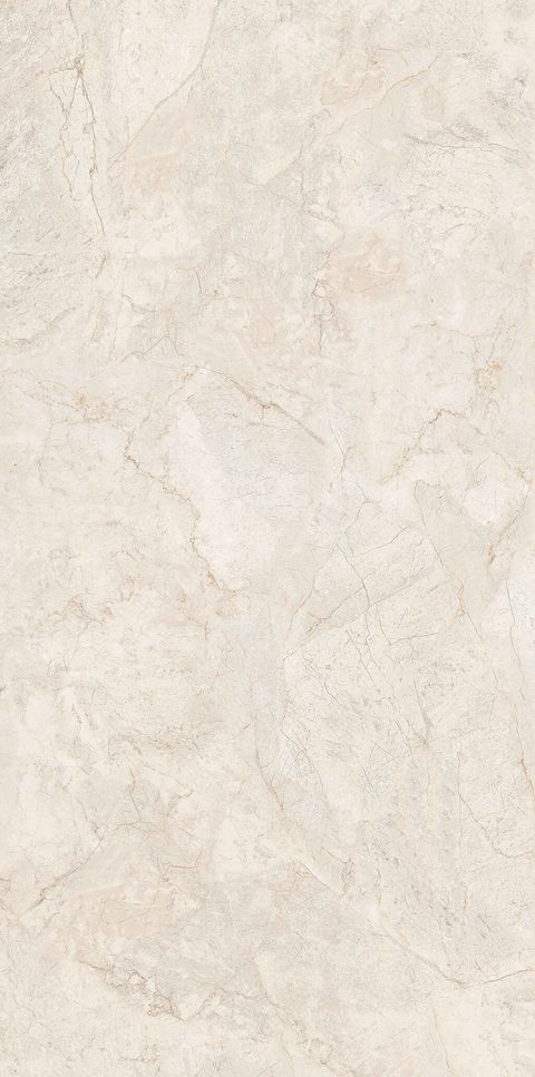 SX-CTN2PR_SR-Beige-Master-Face