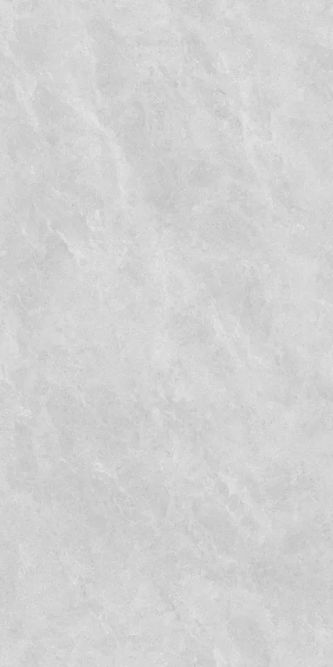 argento-grey-60x120-1