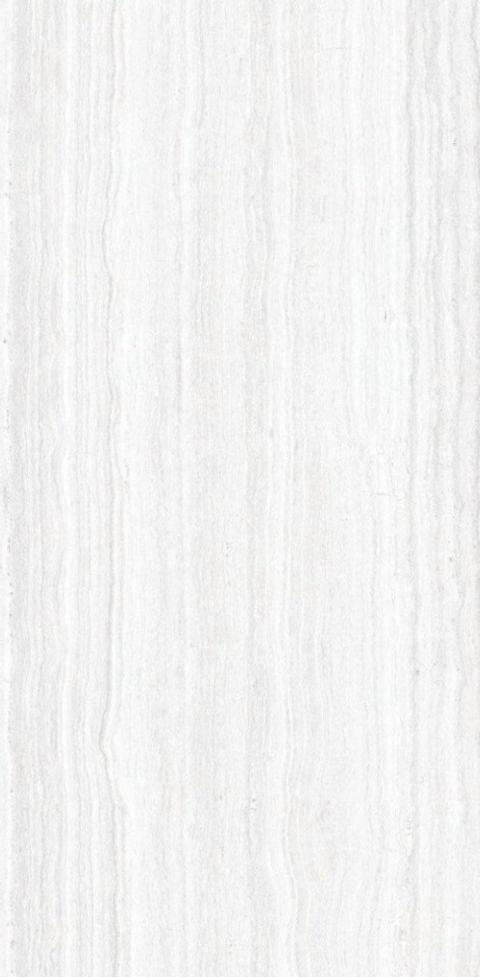 WhatsApp Image 2026-08-13 at 14.09.53