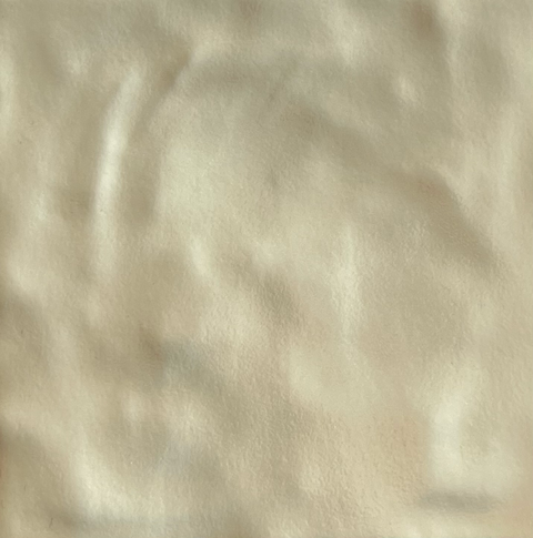 tempImage8Jbnwu