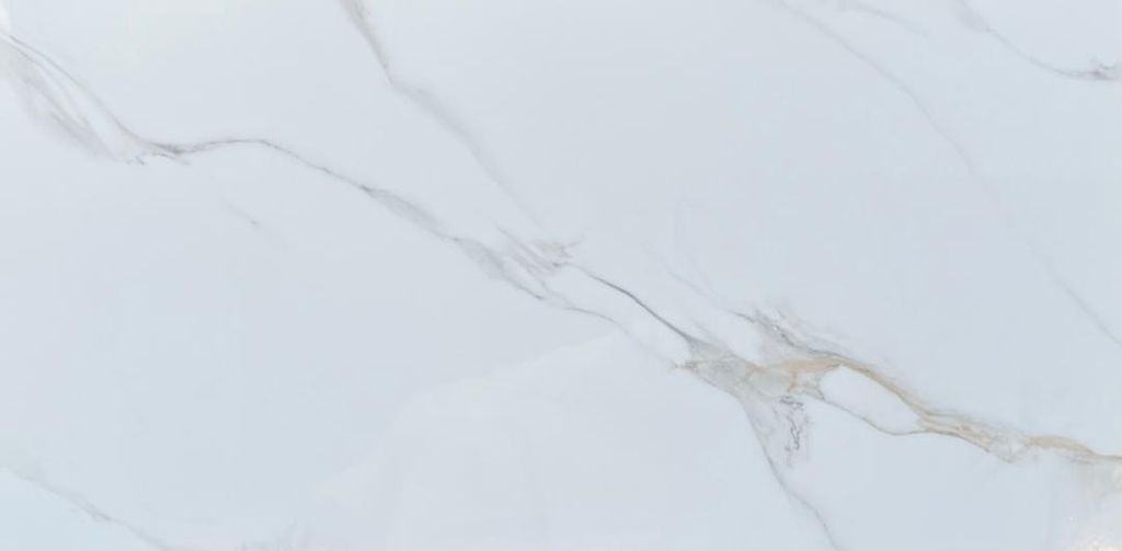 WhatsApp Image 2025-11-19 at 15_lbf5wkx2b109gqvqh0ey.webp