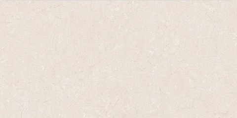 WhatsApp Image 2025-12-18 at 2.03.41 PM