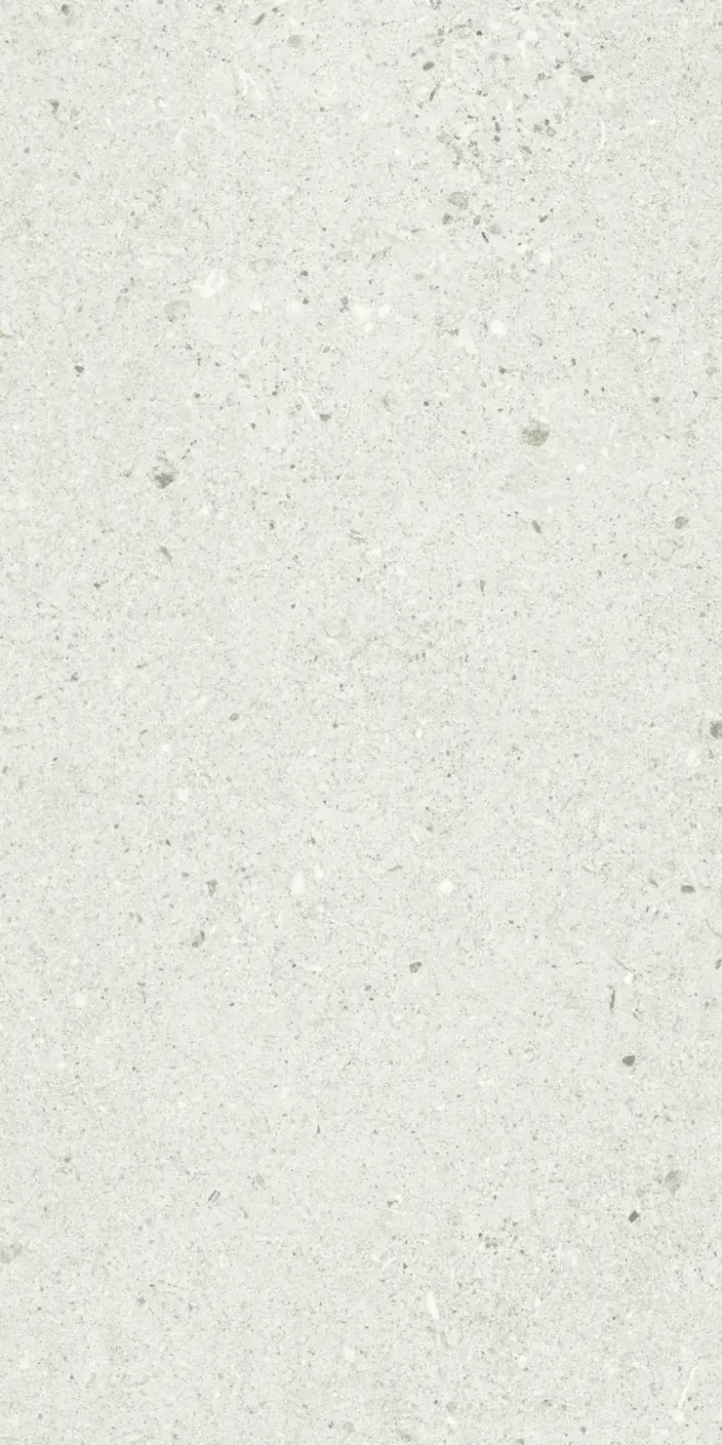 in-basaltina-white-30x60-1
