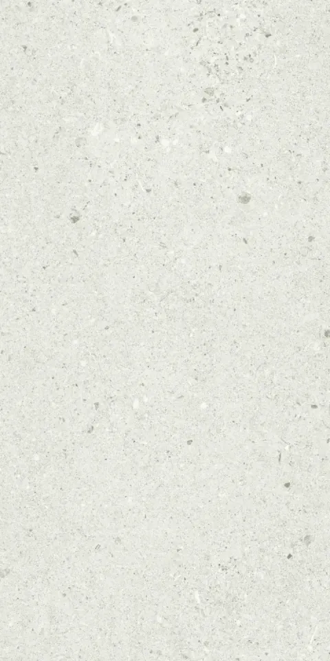 in-basaltina-white-30x60-1