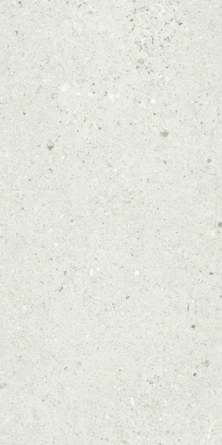 in-basaltina-white-30x60-1