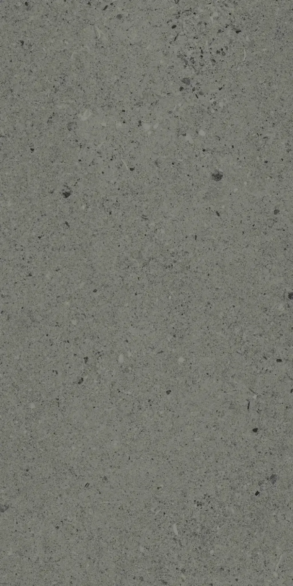 in-basaltina-grey-30x60-1