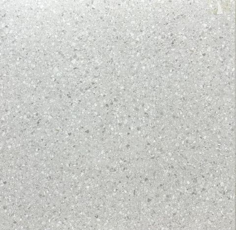 WhatsApp Image 2025-12-29 at 09.58.26