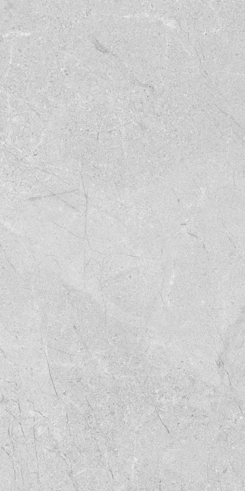 southbay-bone-30x60-1