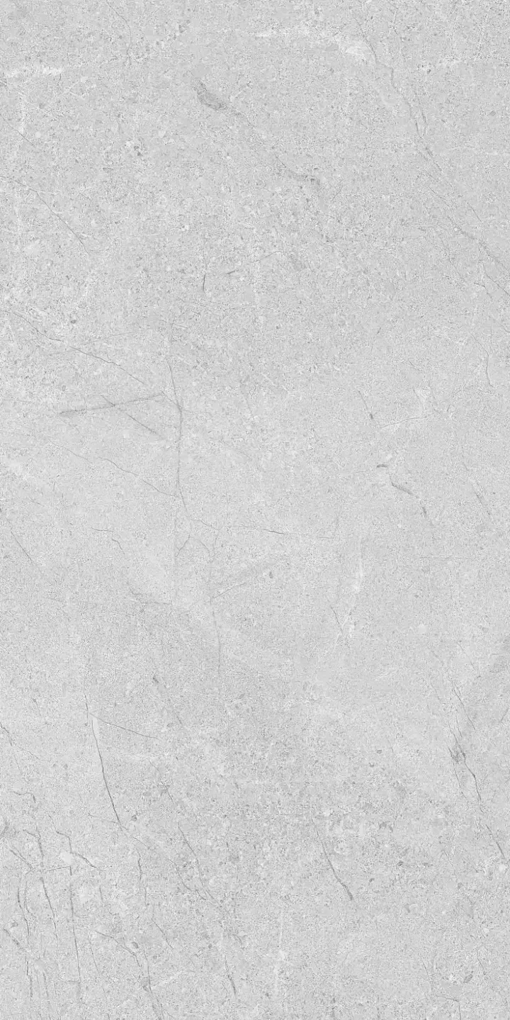 southbay-bone-30x60-1