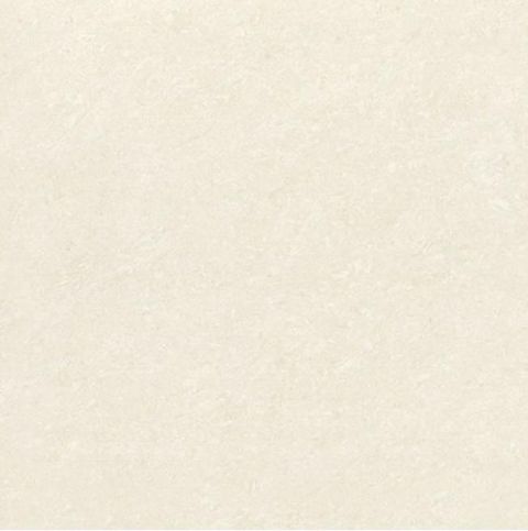 WhatsApp Image 2026-01-06 at 9.42.49 AM