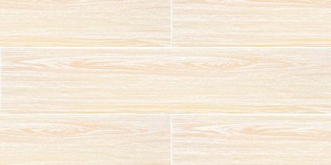 BPM21R006PN_cilc26y0pidnfghntl4w