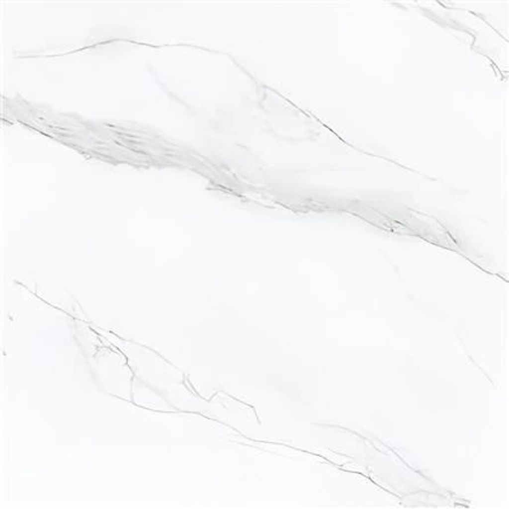 WhatsApp Image 2026-01-09 at 19.23.45