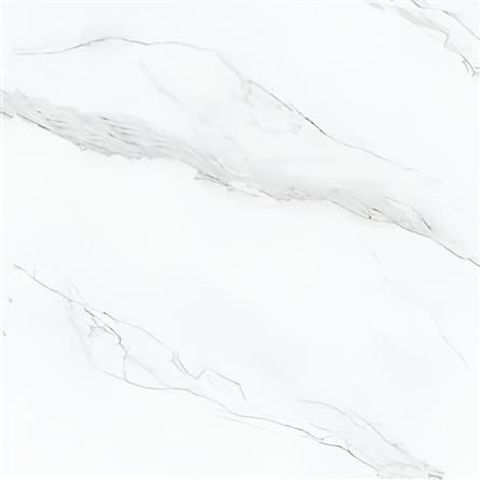 WhatsApp Image 2026-01-09 at 19.23.45