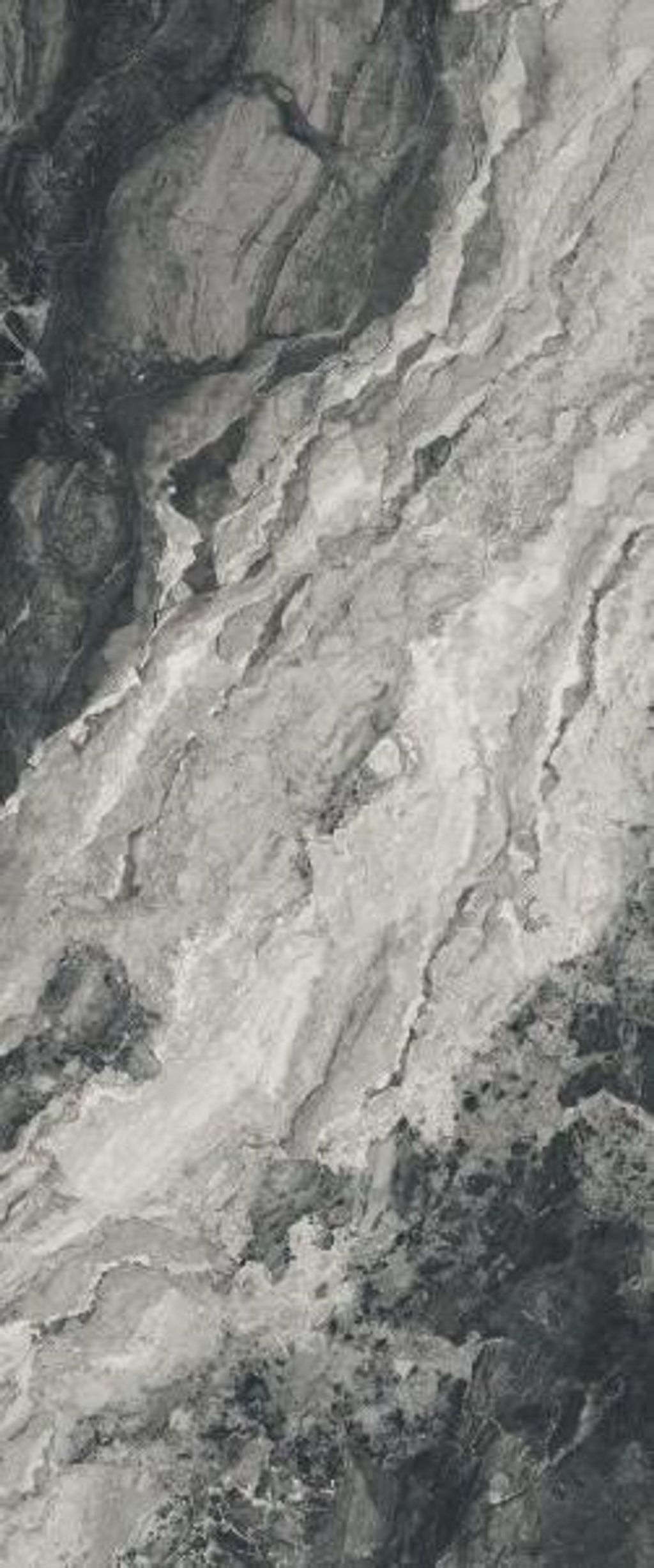 WhatsApp Image 2026-01-16 at 10.48.42