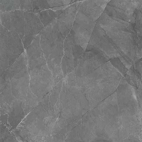 WhatsApp Image 2026-01-20 at 09.48.56