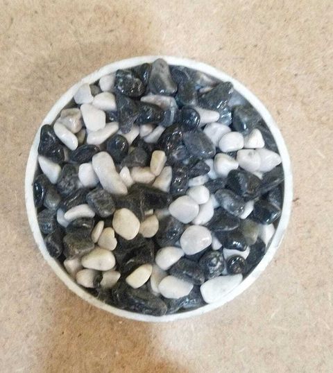 WhatsApp Image 2026-01-21 at 10.35.53