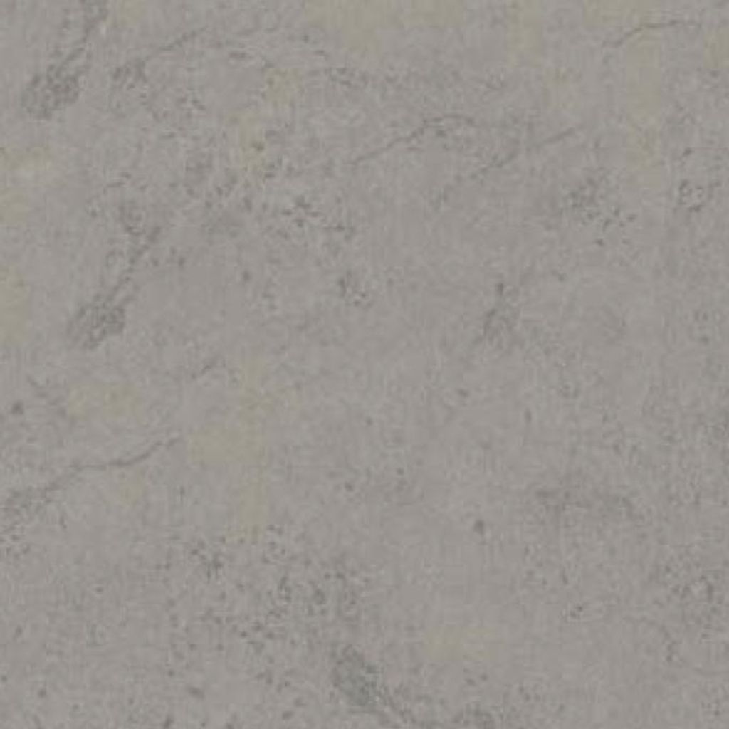 WhatsApp Image 2026-01-22 at 14.25.13