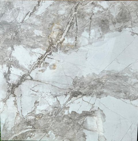 WhatsApp Image 2026-01-23 at 16.20.48