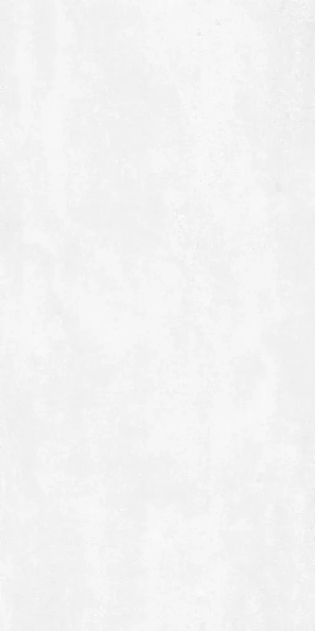 rainstone-bone-30x60-1