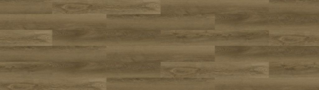 S__41599006_0