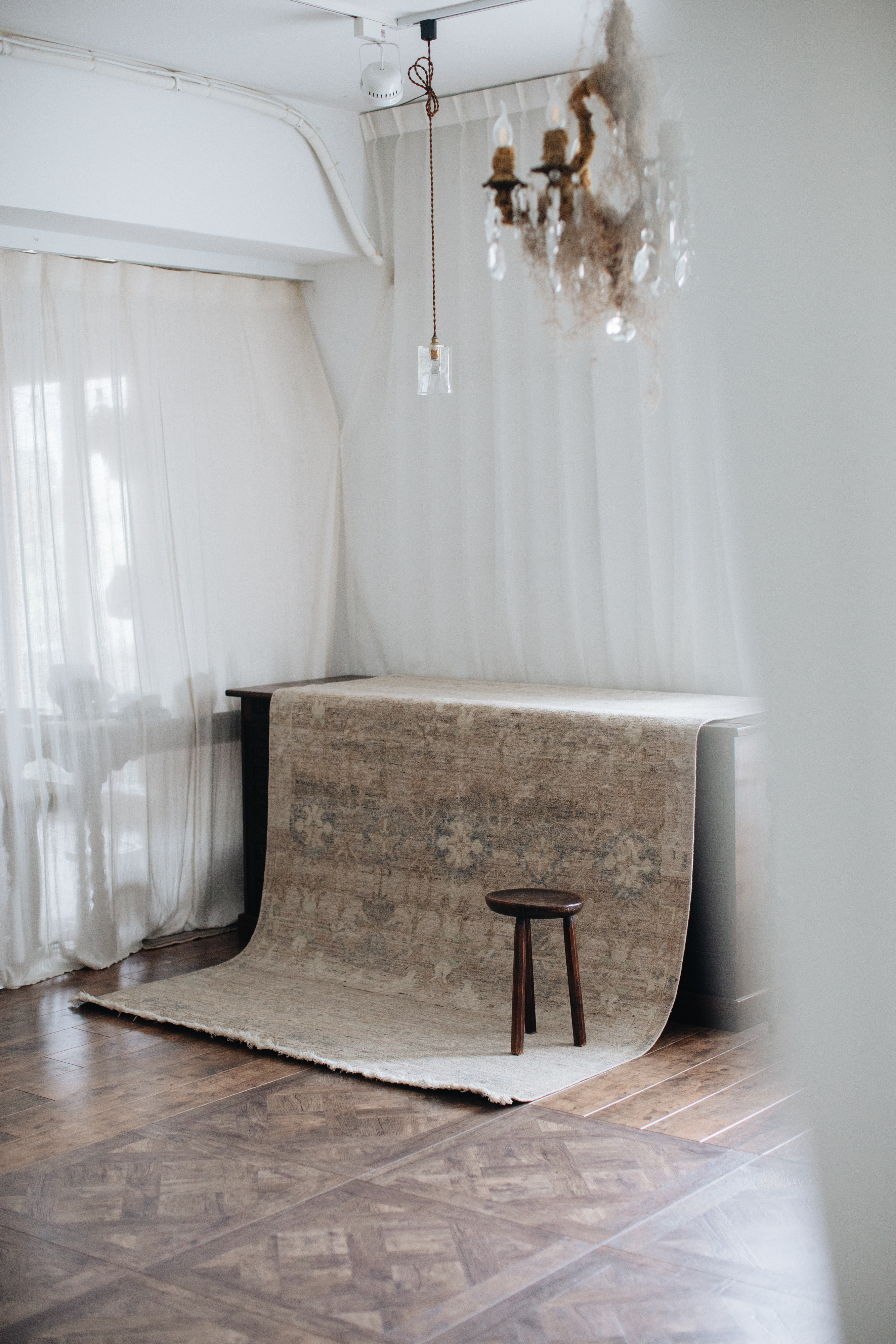 20251118-Sunshinephoto-unpetitpeu-136