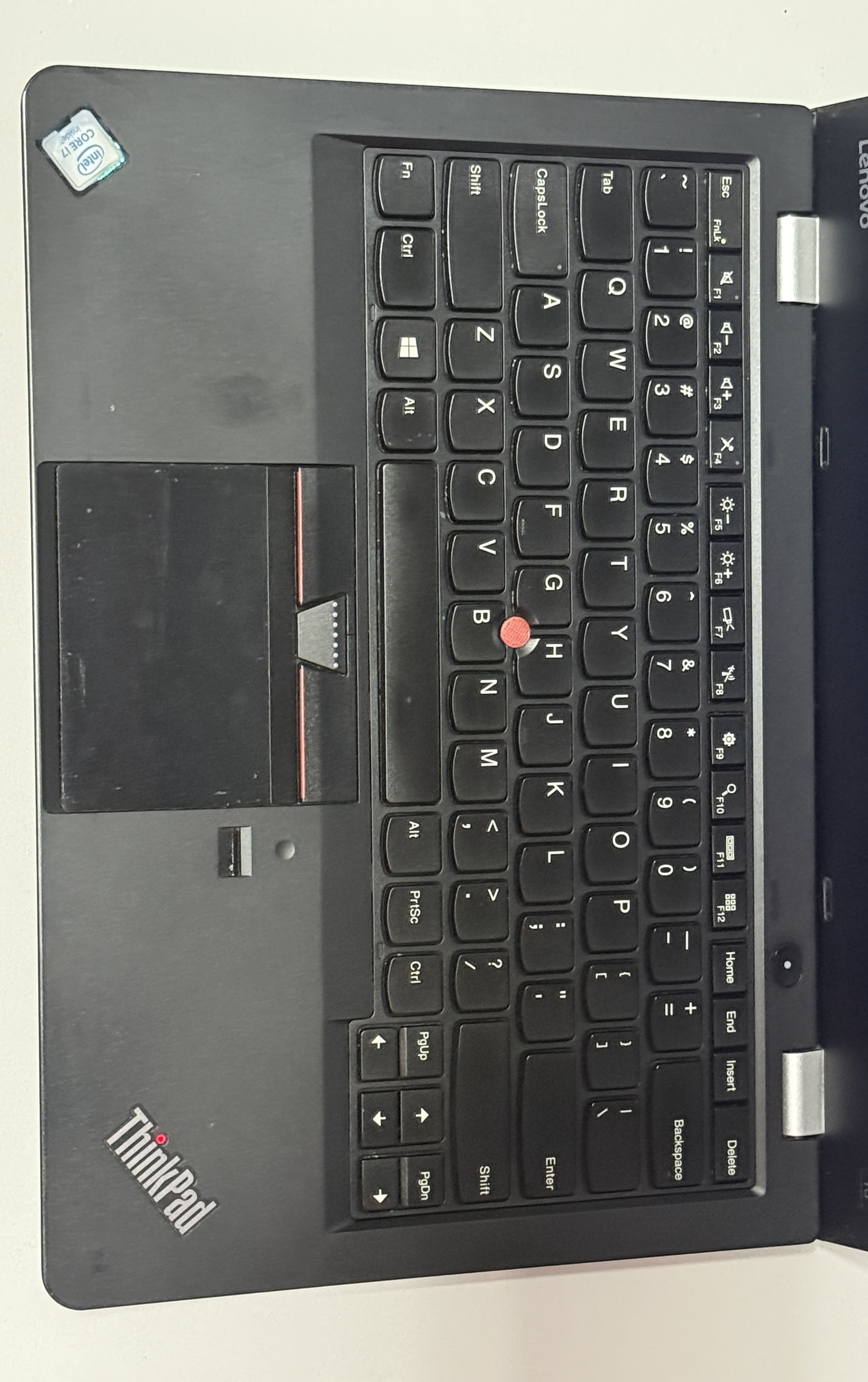 image_C60C6268-008C-4B30-8C4C-CCBAF2649172_1764760321