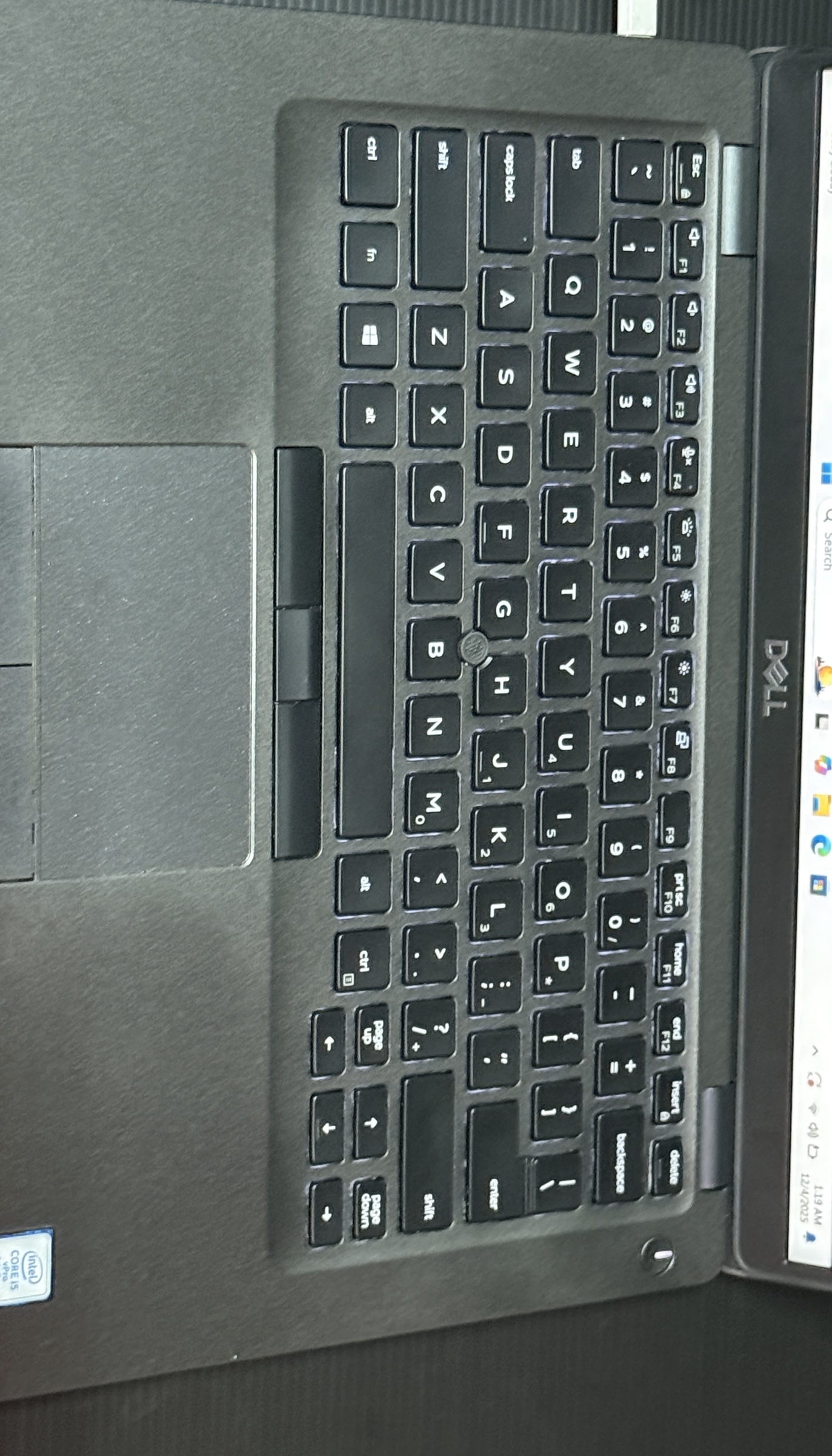 image_EE57CD5E-B05A-437C-BAC8-BE047776FE80_1764852582