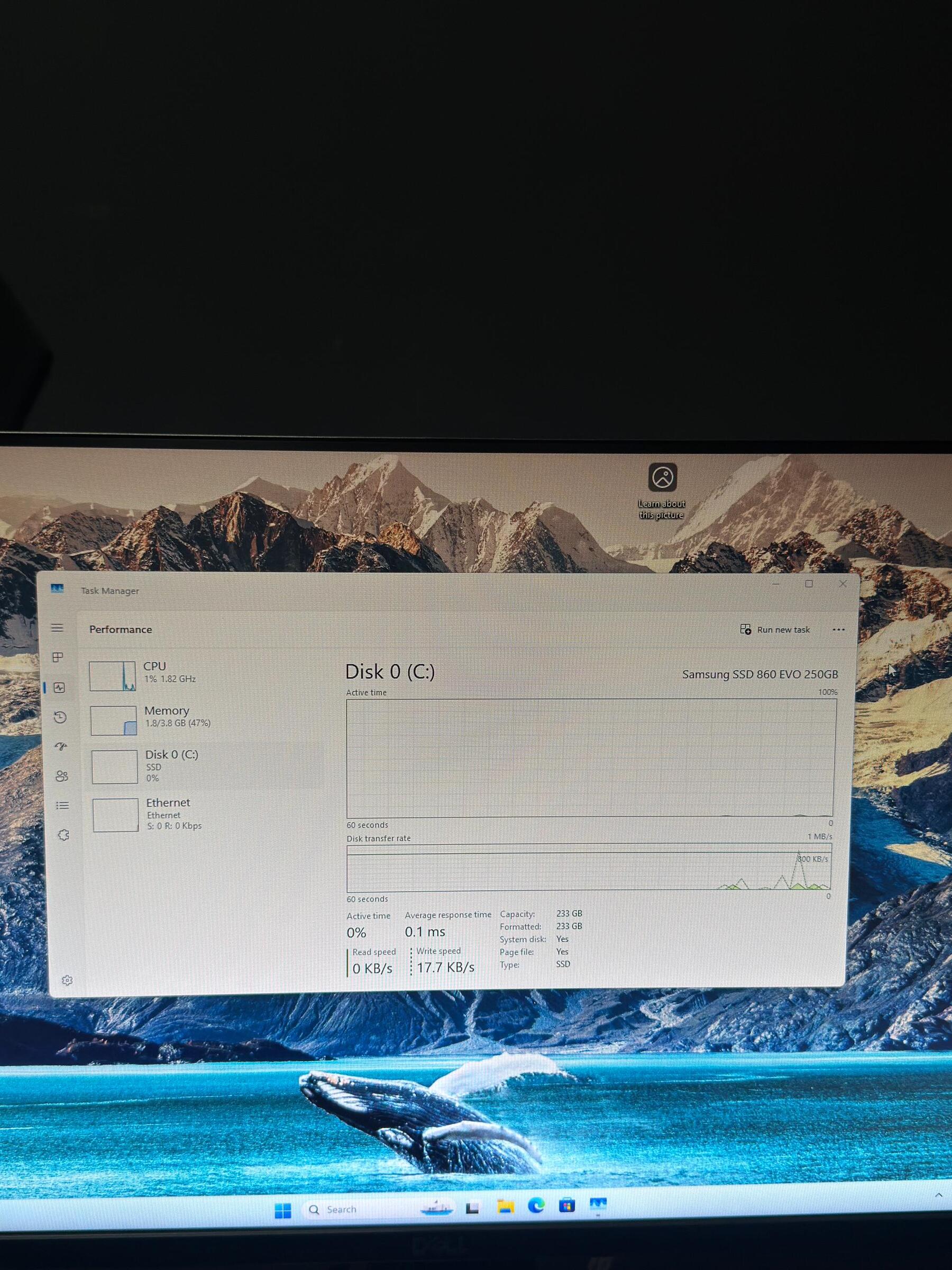 image_2907C5F1-BBD4-4D01-BD2D-22A227C679FB_1765340594