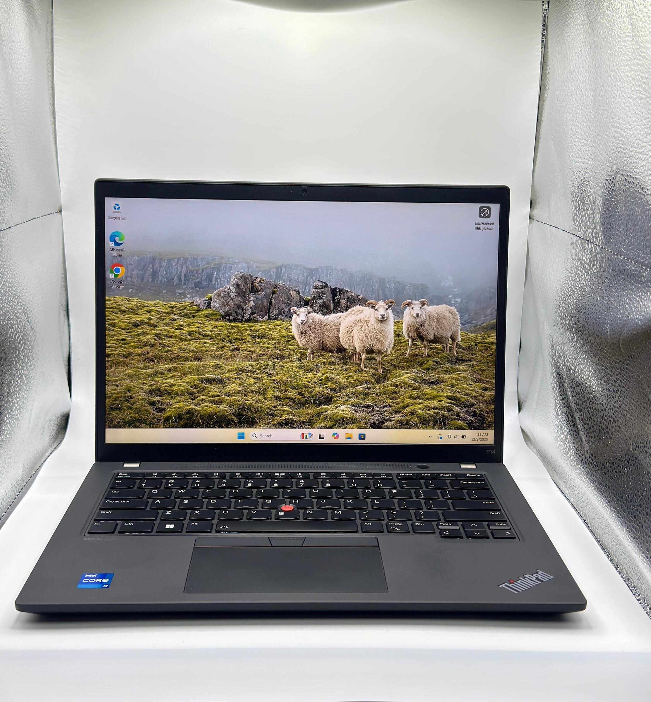 image_B156B5E2-4F33-43D7-8636-D5D2339052C3_1765339173