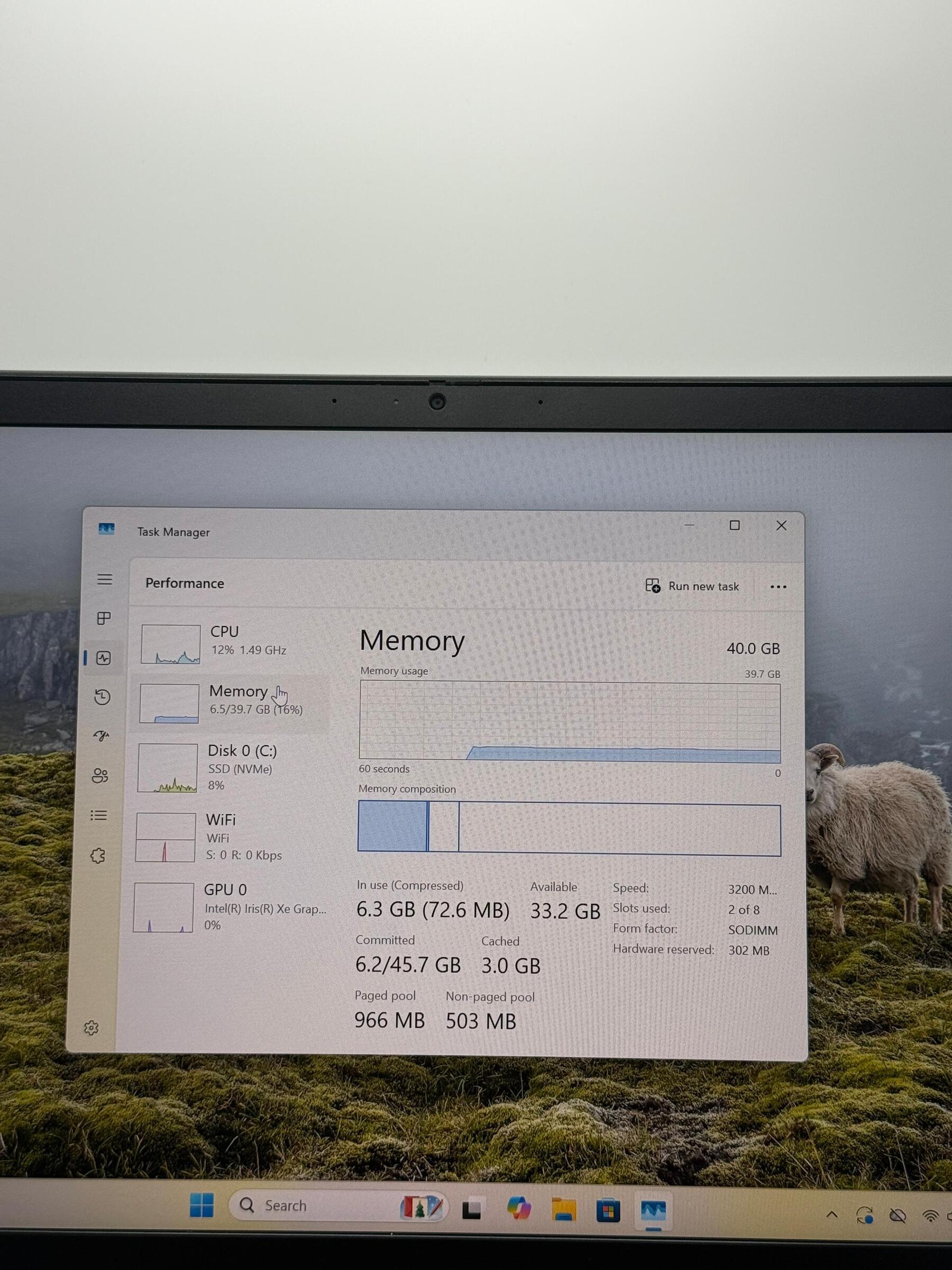 image_9B88F3FA-0F80-4F8E-ABC0-270EDF328EC7_1765339173