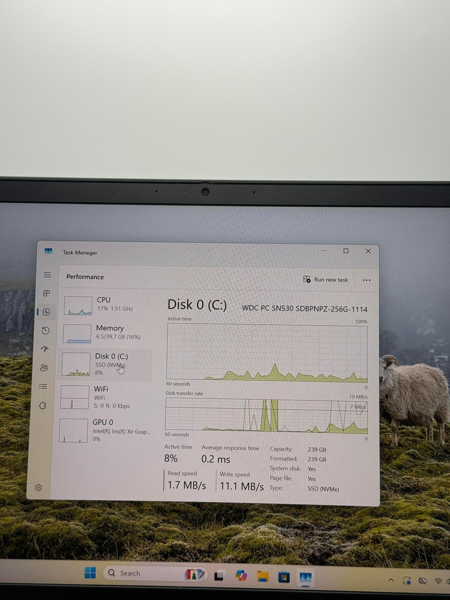 image_CF02DDFF-29BA-45CA-B071-01E4C7C5F681_1765339173