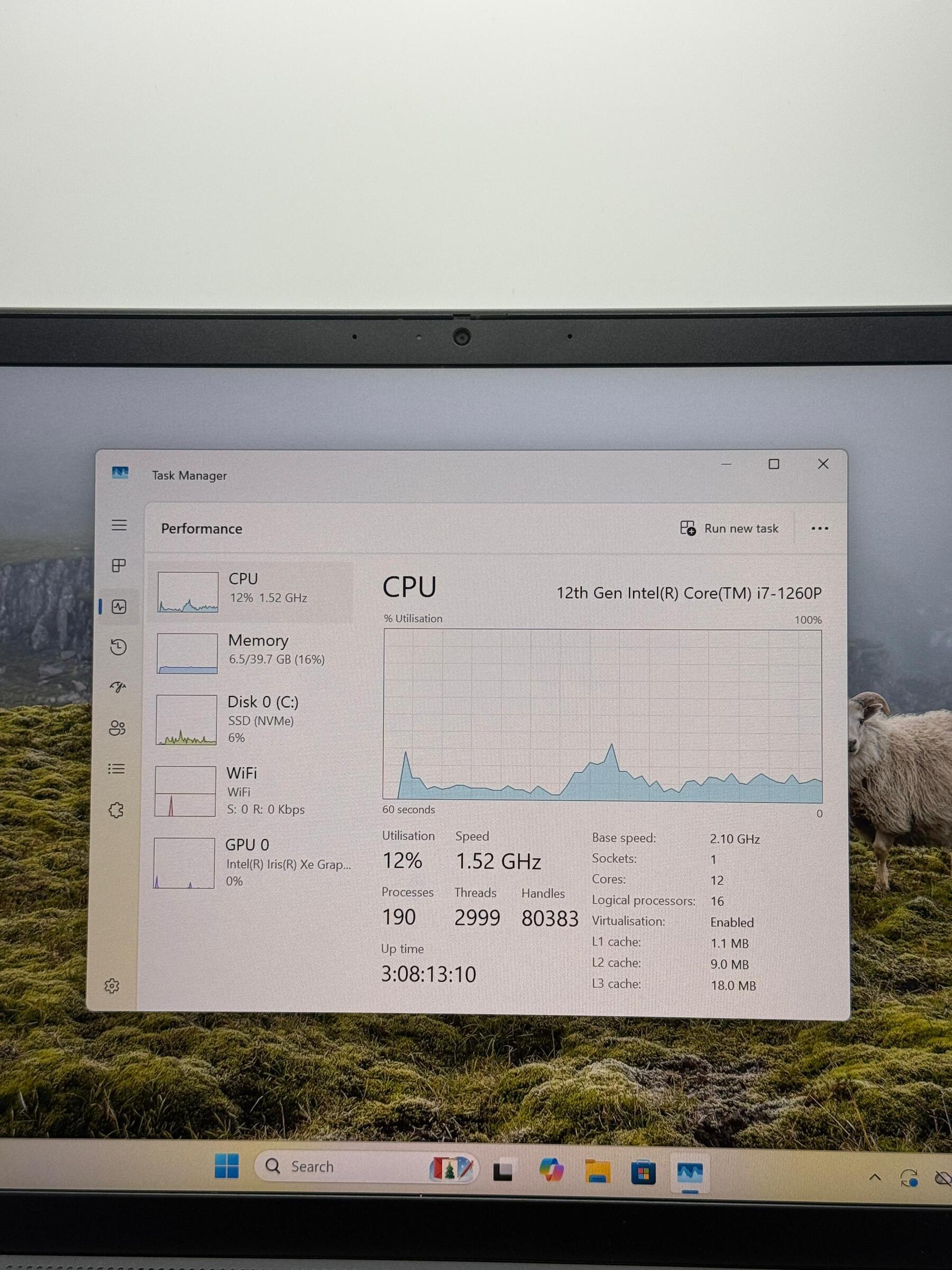 image_8564B19F-278E-4CC8-BF15-A1FD019BAFB3_1765339173