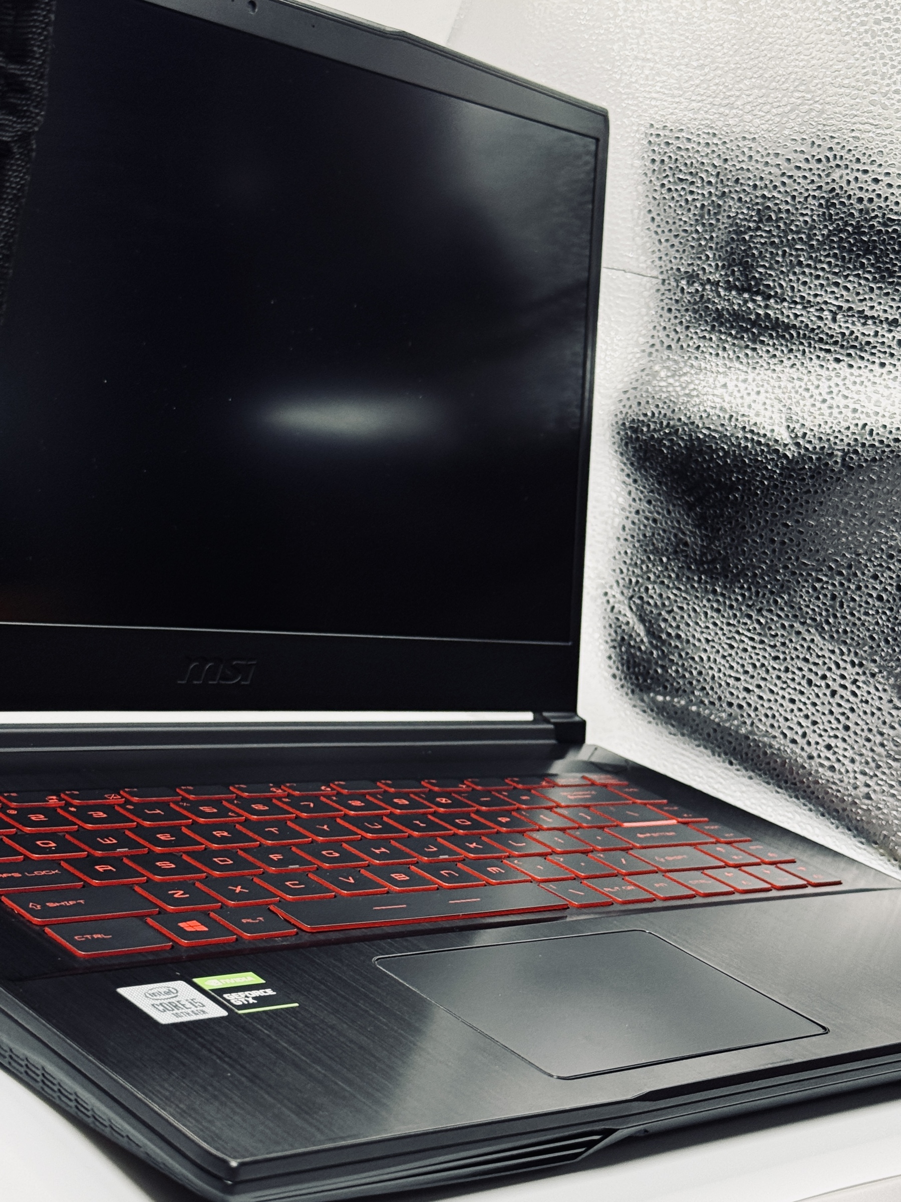 image_D494DC8D-6D5D-4FB8-8AC8-7513185BD6A9_1765702993