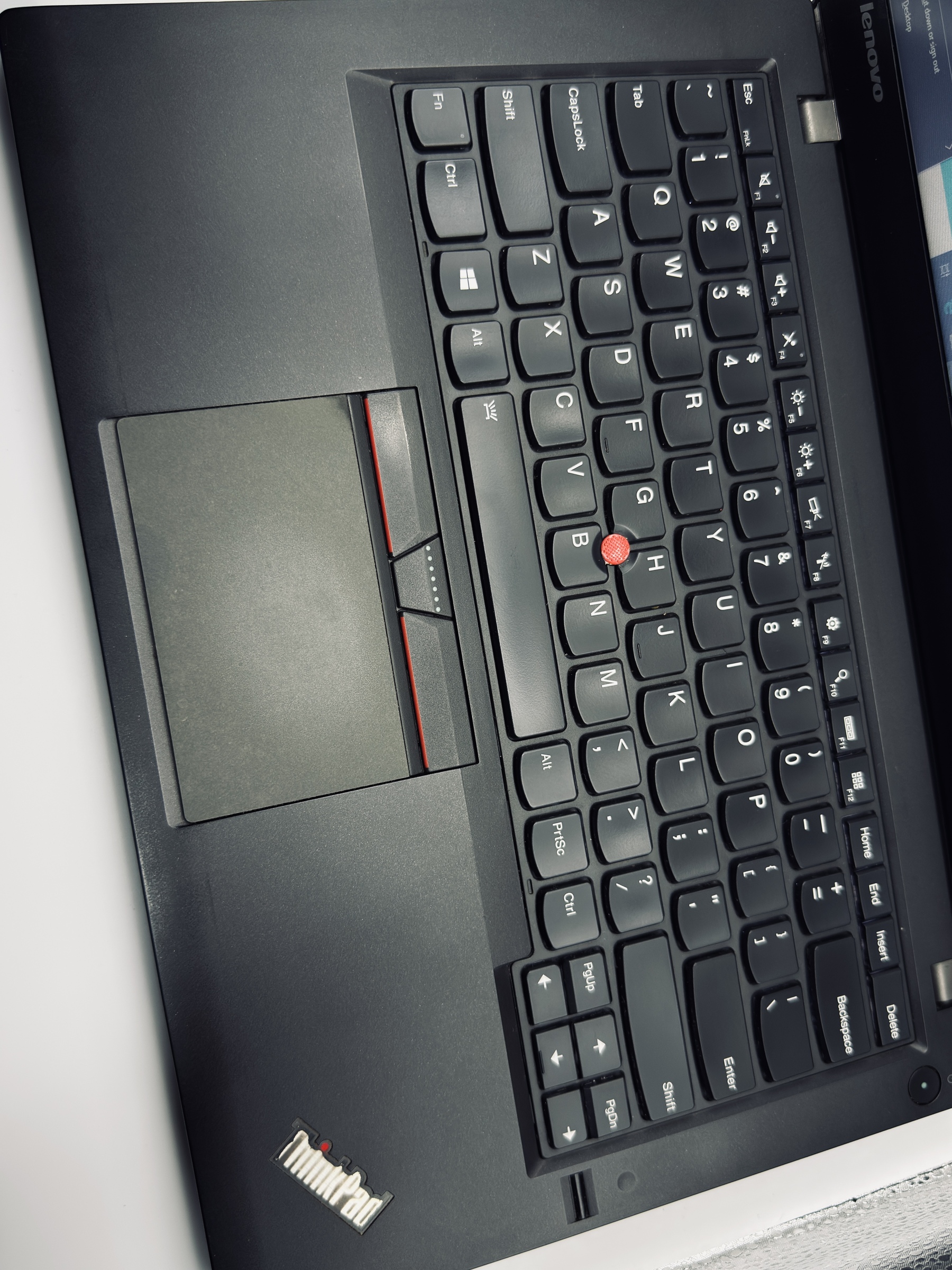 image_98C9DDDF-709C-4423-B1ED-E38FA4D22DAF_1766230612