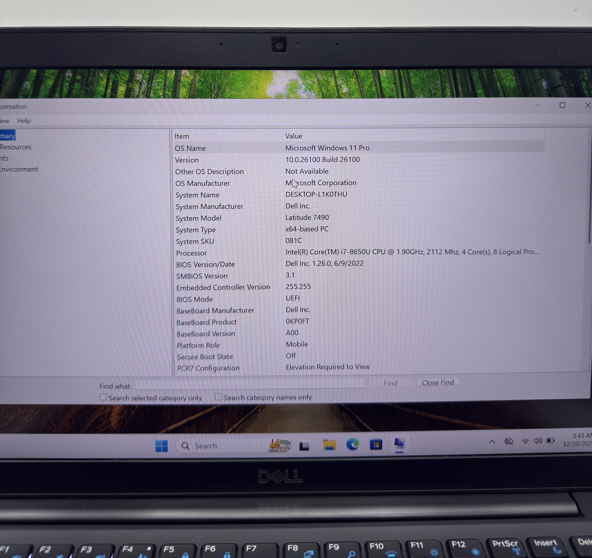 image_F401CFCD-B62E-47E0-BBD8-EEF00E8A3317_1766232244